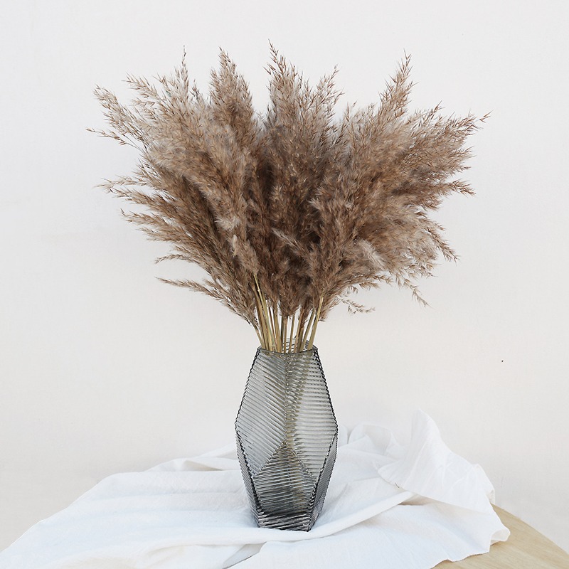 10 шт. разноцветных натуральны – обзор и цена Pampas Grass Decor
