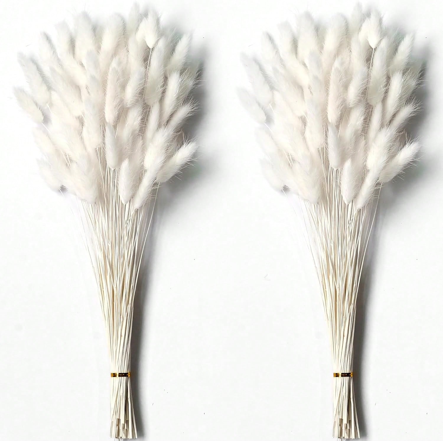 120 шт. сушеные пампасные трав – обзор и цена Pampas Grass Decor