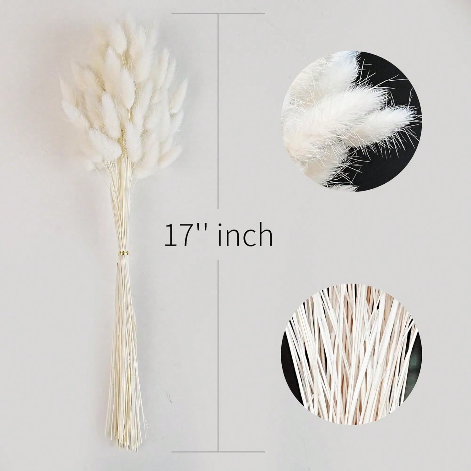 120 шт. сушеные пампасные трав – обзор и цена Pampas Grass Decor
